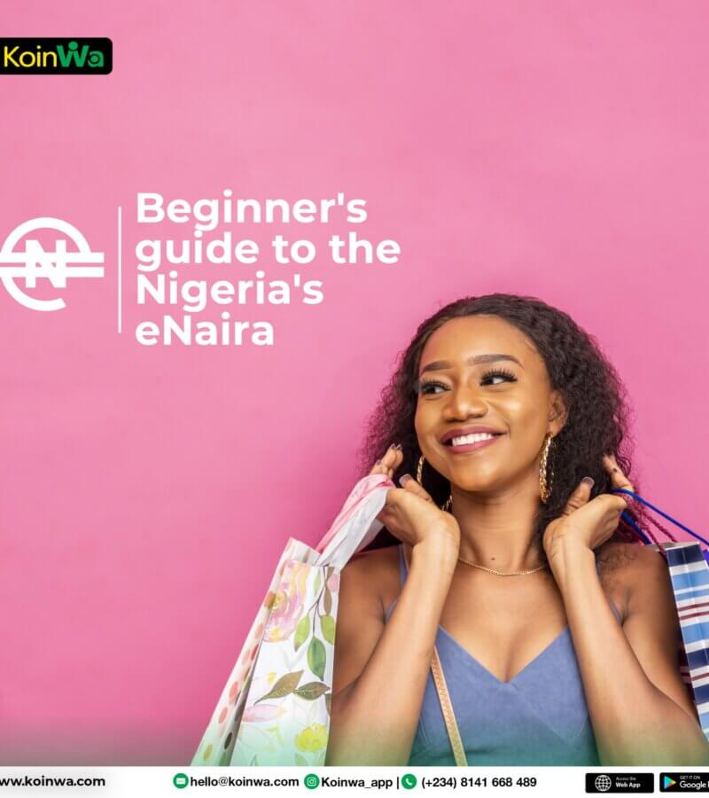 Beginner’s guide to the Nigeria’s eNaira