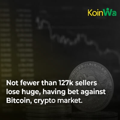 Not fewer than 127k sellers lose huge, having bet against Bitcoin, crypto market