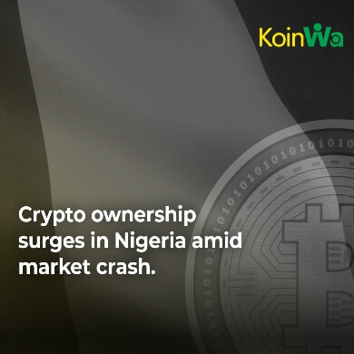 Crypto ownership surges in Nigeria amid market crash
